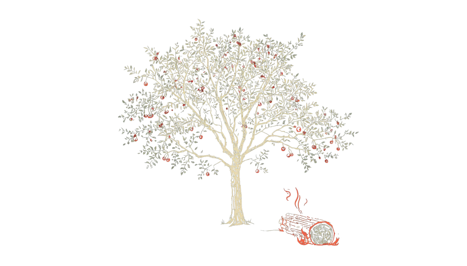 Cherry illustration