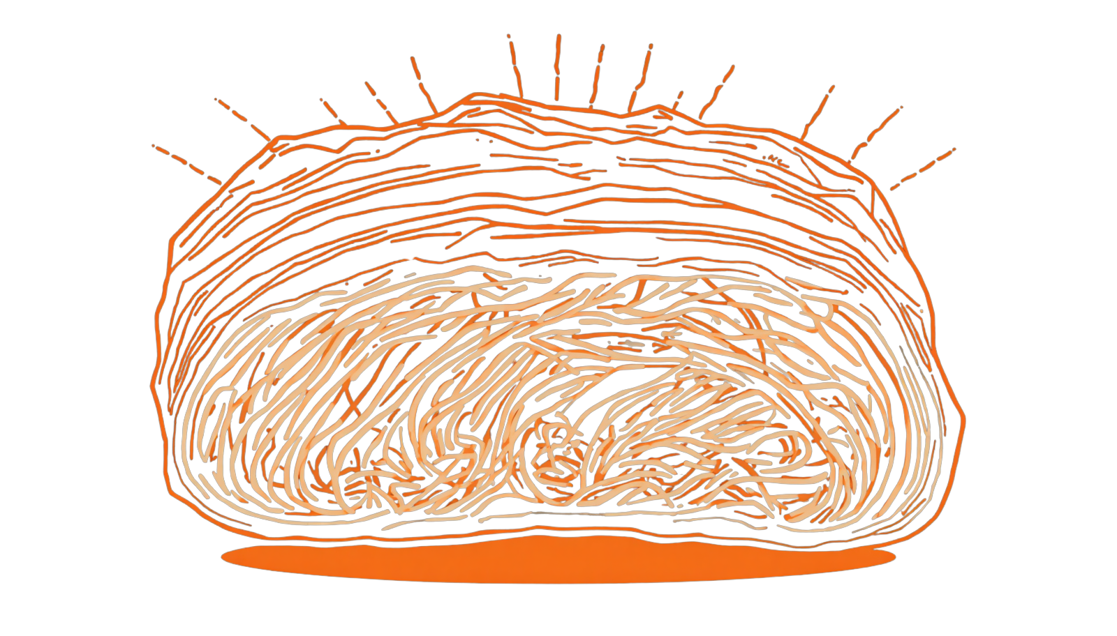 Collagen illustration