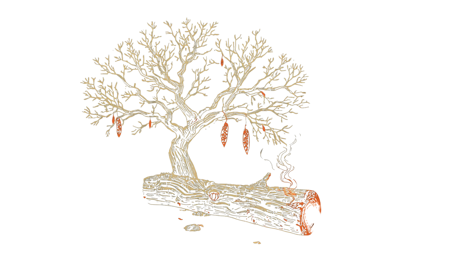 Mesquite illustration