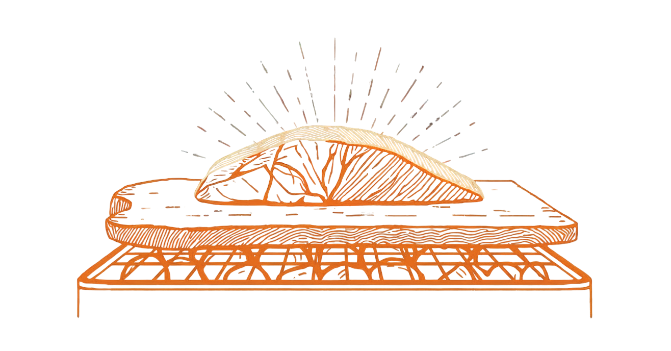 Plank Grilling illustration