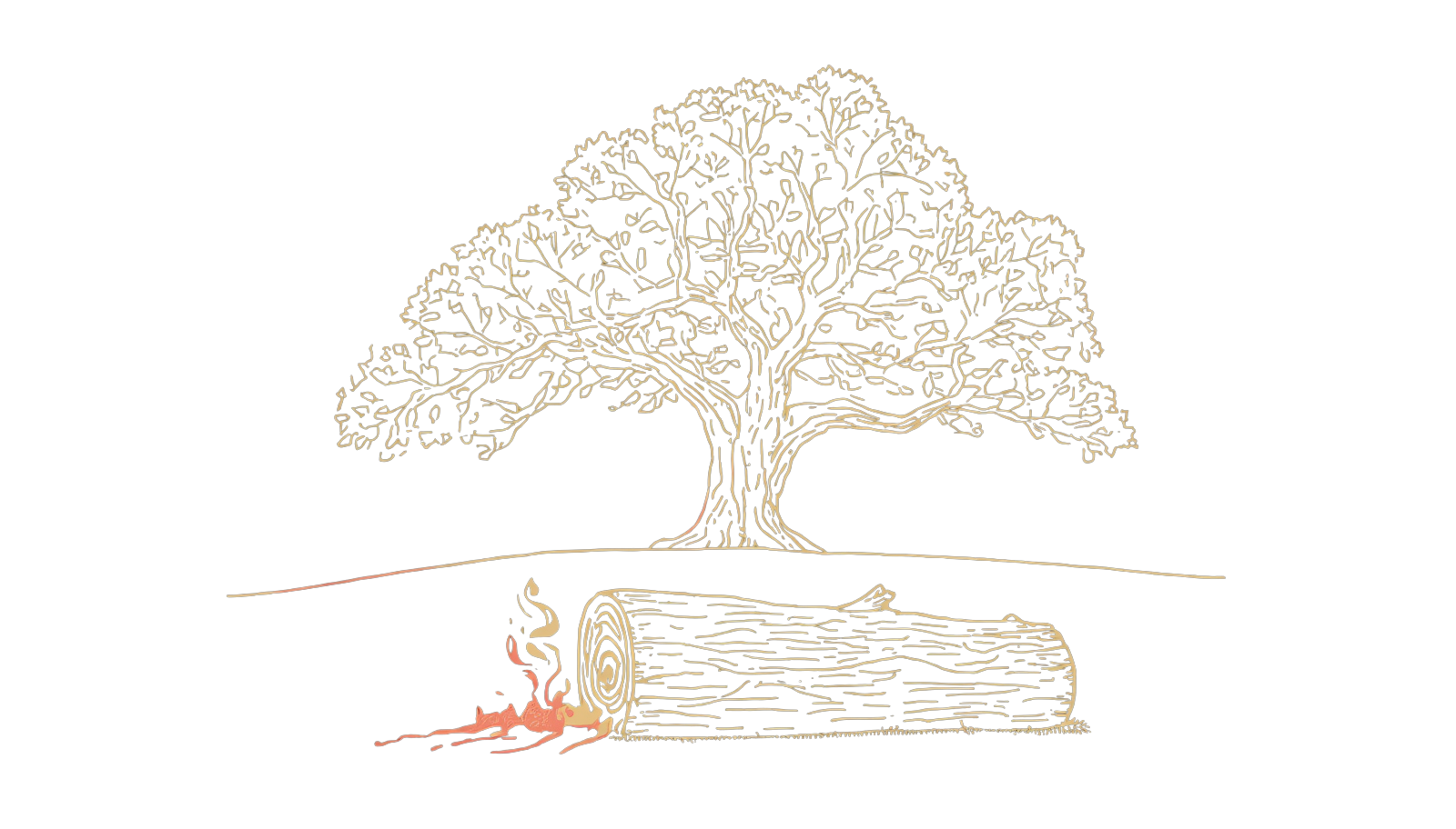Post Oak illustration