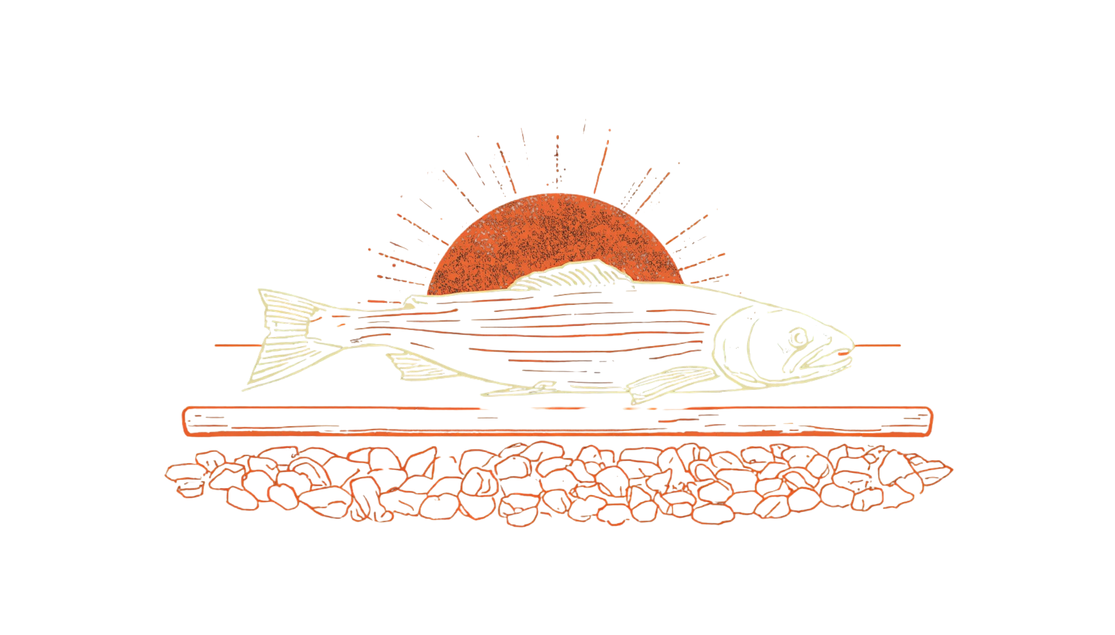 Seafood illustration