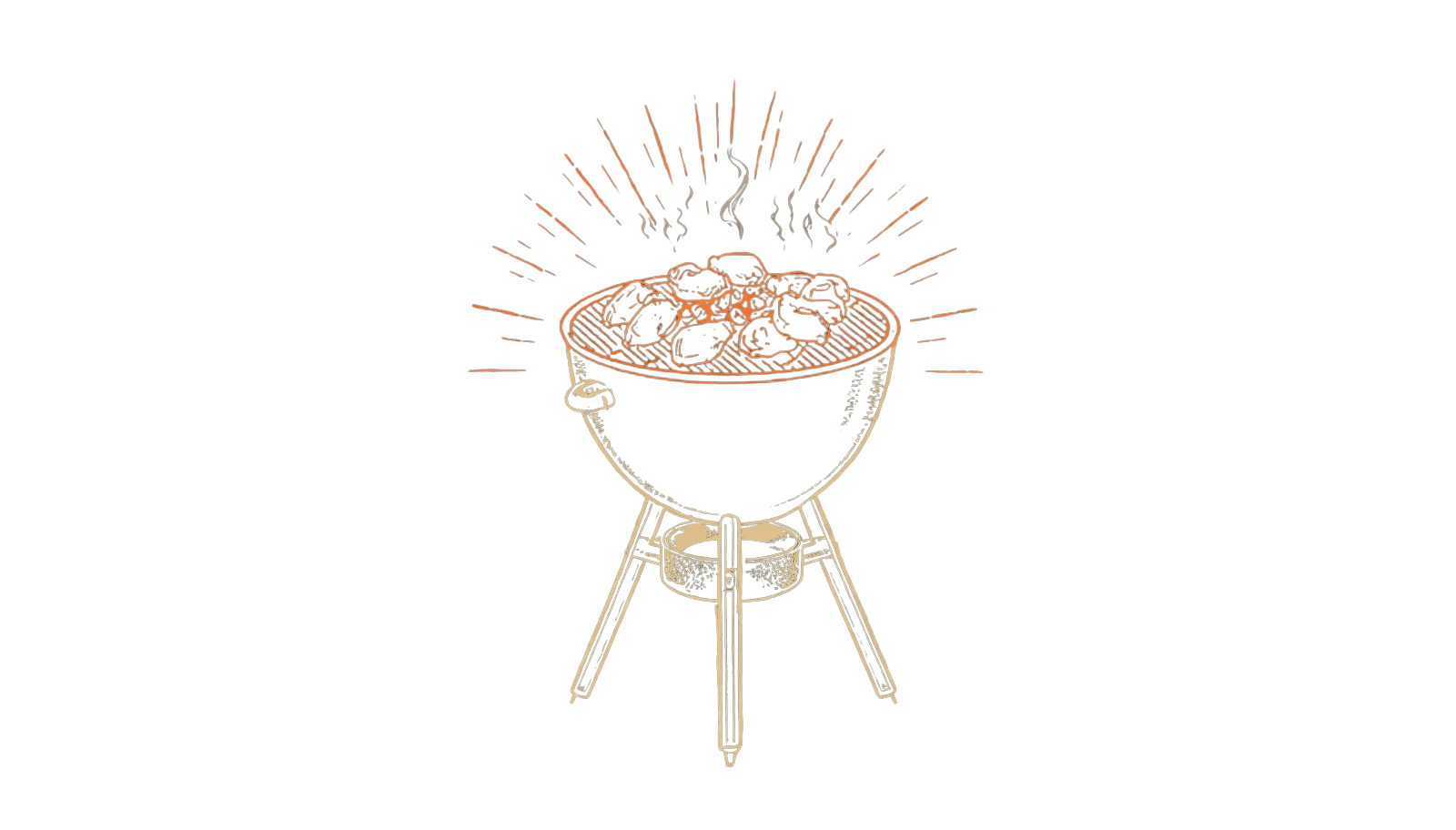 Vortex Method illustration